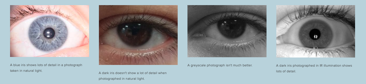 Photo of Iris - the eye part that Blink Identity scans