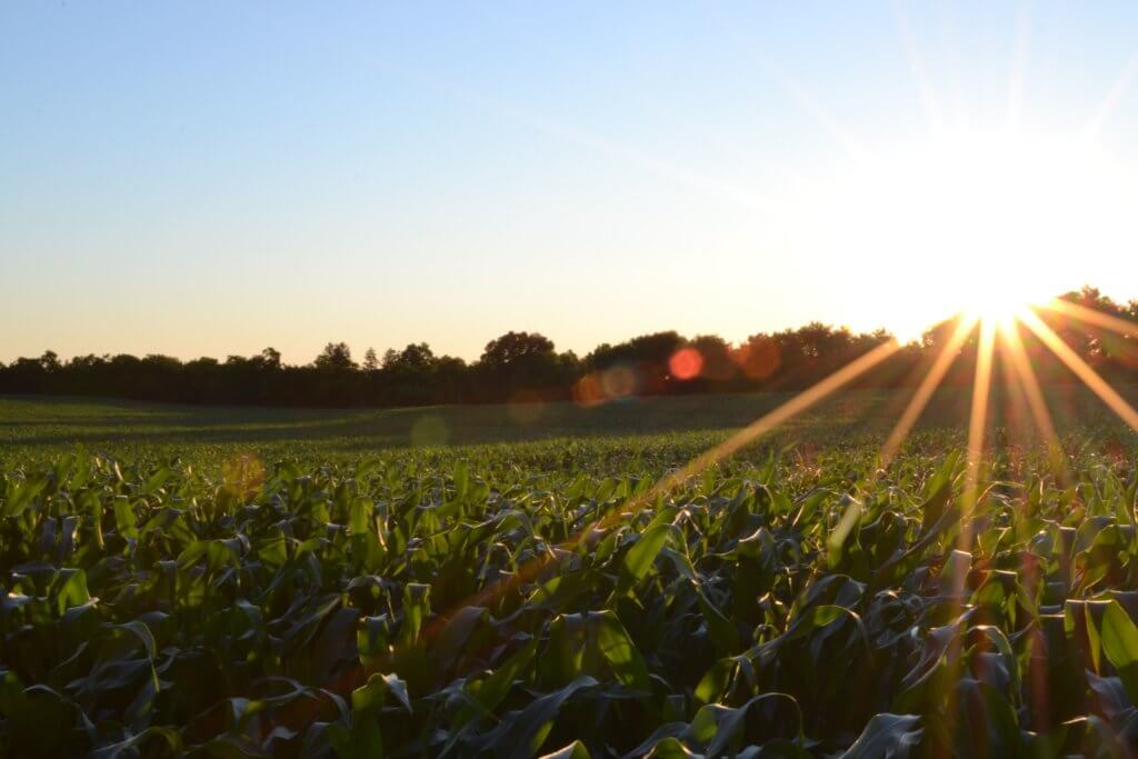 Drought Diet Products – Smart irrigation products for water conservation